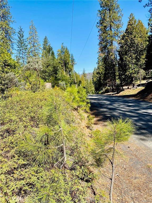 Mariposa, CA 95338,7105 Snyder Ridge