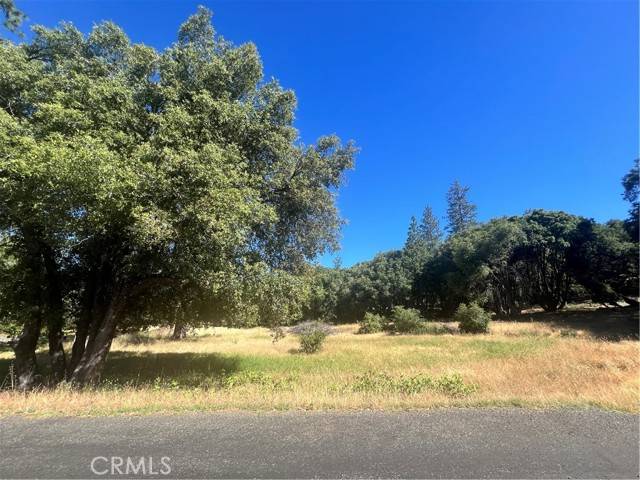 Mariposa, CA 95338,6065 Monte Vista