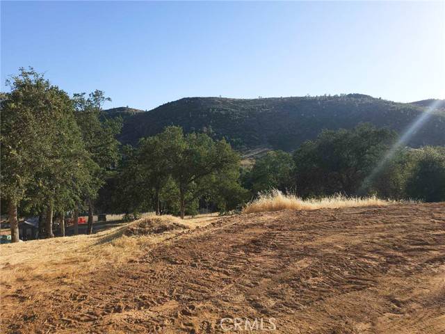 Mariposa, CA 95338,0 Terrace View