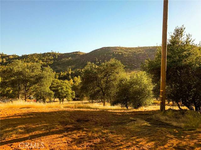 Mariposa, CA 95338,0 Terrace View