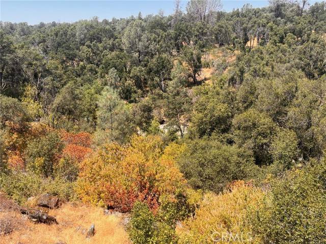 Mariposa, CA 95338,3993 Snow Creek Road