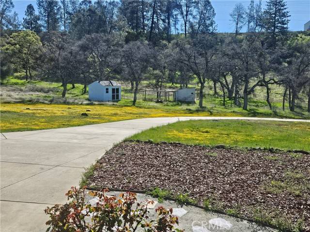 Murphys, CA 95247,2375 Ponderosa Way