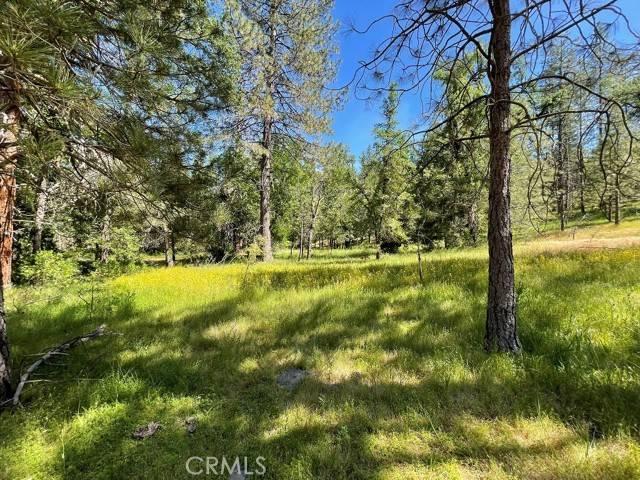 Mariposa, CA 95338,0 Triangle Road