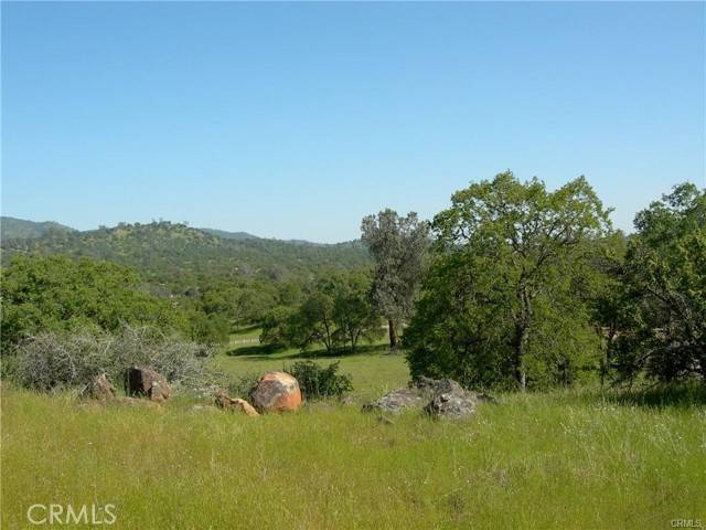 Catheys Valley, CA 95306,3019 Blue Oak