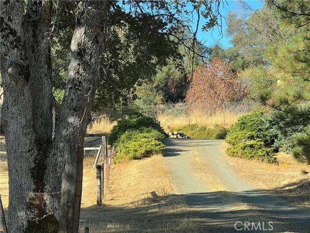 Mariposa, CA 95338,5263 Schafer Road