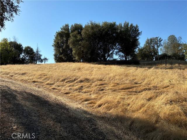 Mariposa, CA 95338,4546 Quail Court