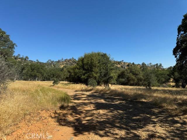 Mariposa, CA 95338,0 Bear Valley