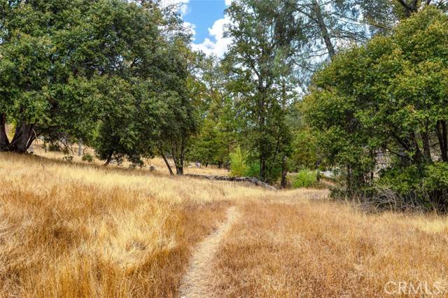 Mariposa, CA 95338,4959 Sierra Pines