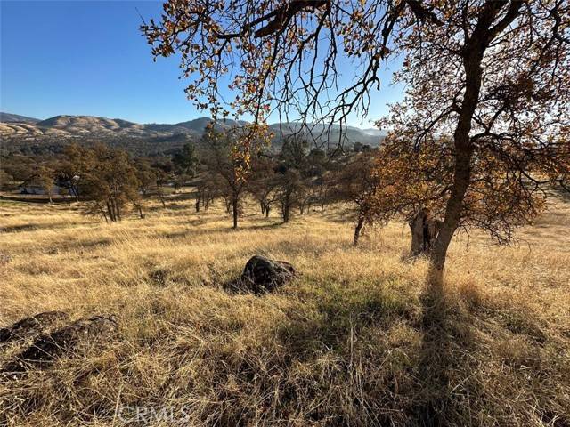 Catheys Valley, CA 95306,3228 Wild Rose