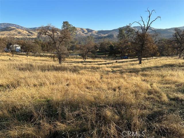 Catheys Valley, CA 95306,3228 Wild Rose