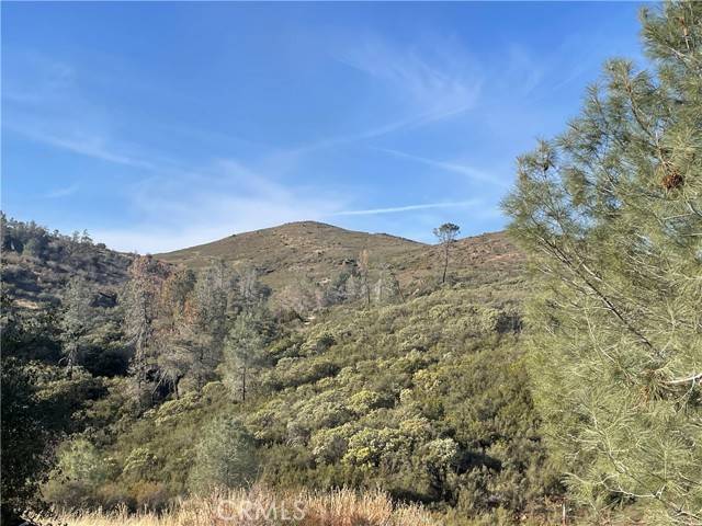 Mariposa, CA 95338,4747 Bear Valley