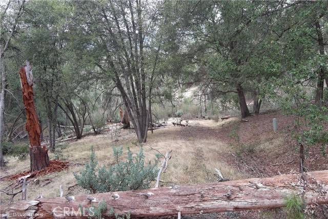 Mariposa, CA 95338,5 Parker Dr