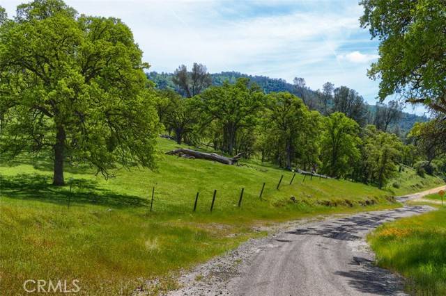 Mariposa, CA 95338,3729 Ben Hur Road
