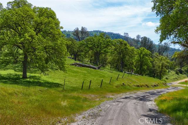 Mariposa, CA 95338,3729 Ben Hur Road