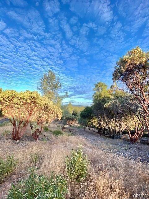 Mariposa, CA 95338,17 Vista Lago