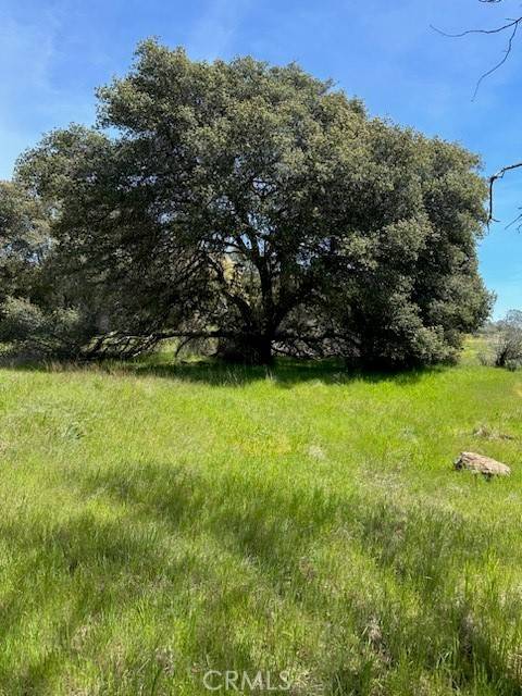 Mariposa, CA 95338,0 Highway 49 N