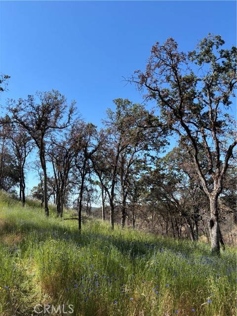 Mariposa, CA 95338,5358 Mariposa Heights