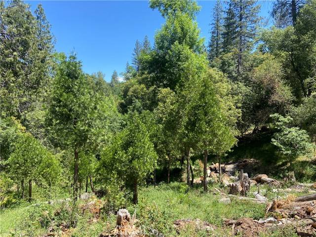 Oakhurst, CA 93644,0 Rusty Lane Lot #47