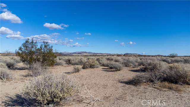 Newberry Springs, CA 92365,0 no address available