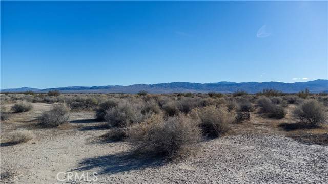 Newberry Springs, CA 92365,0 no address available