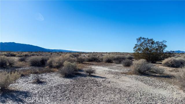 Newberry Springs, CA 92365,0 no address available