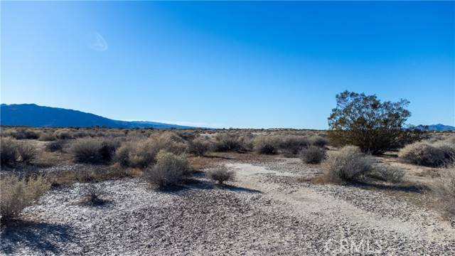 Newberry Springs, CA 92365,0 no address available