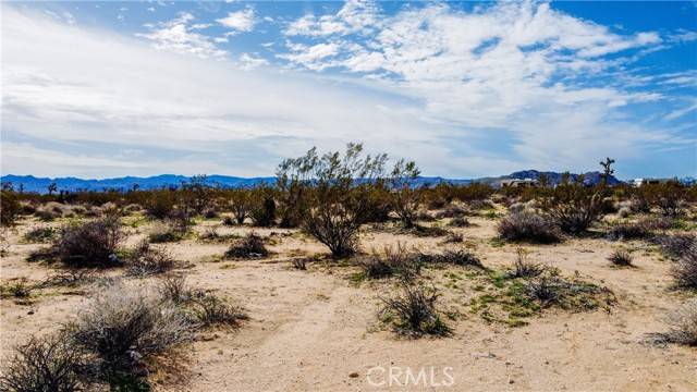 Yucca Valley, CA 92285,0 Starlight