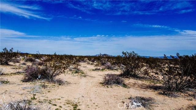 Yucca Valley, CA 92285,0 Starlight