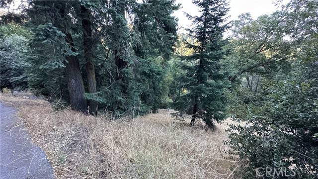 Cedarpines Park, CA 92322,0 Fir