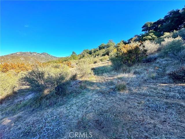 Warner Springs, CA 92086,0 Camino Ortega