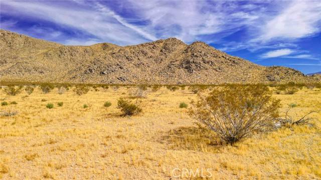 Apple Valley, CA 92307,0 Soledad