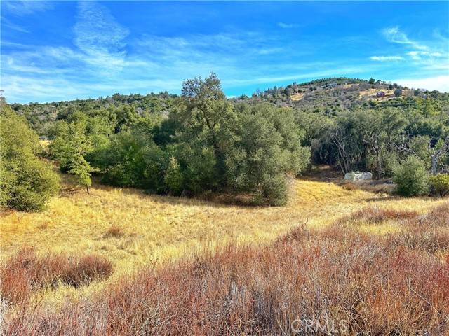 Julian, CA 92036,5672 Forest Meadow