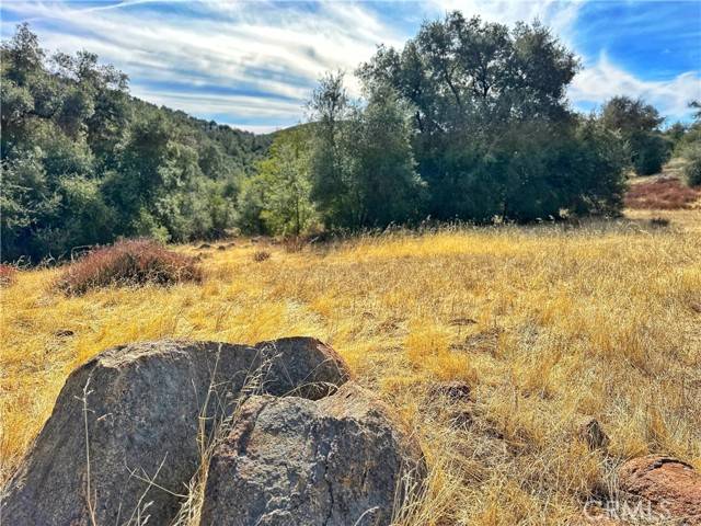 Julian, CA 92036,5672 Forest Meadow