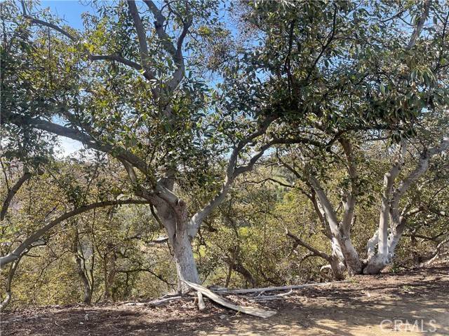 Valley Center, CA 92082,26915 Muutama