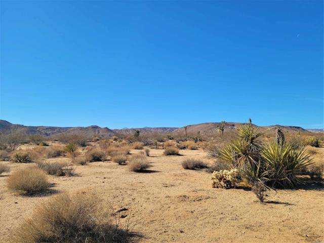 Yucca Valley, CA 92284,775 Kickapoo Trail