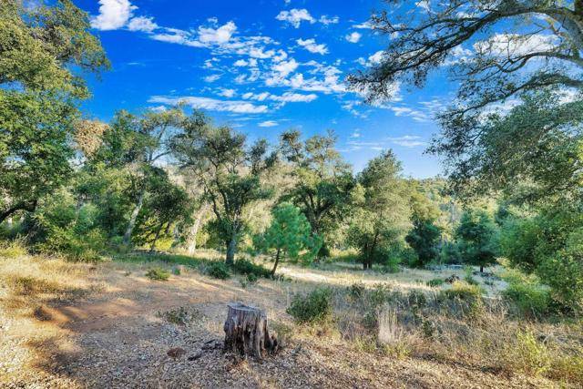 Julian, CA 92036,1077 W INCENSE CEDAR