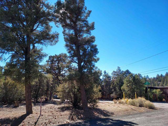 Big Bear City, CA 92314,0 Pioneer