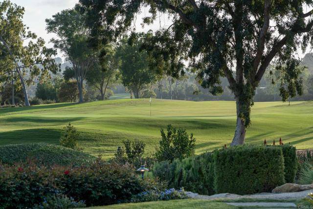 Rancho Santa Fe, CA 92067,6523 Mimulus