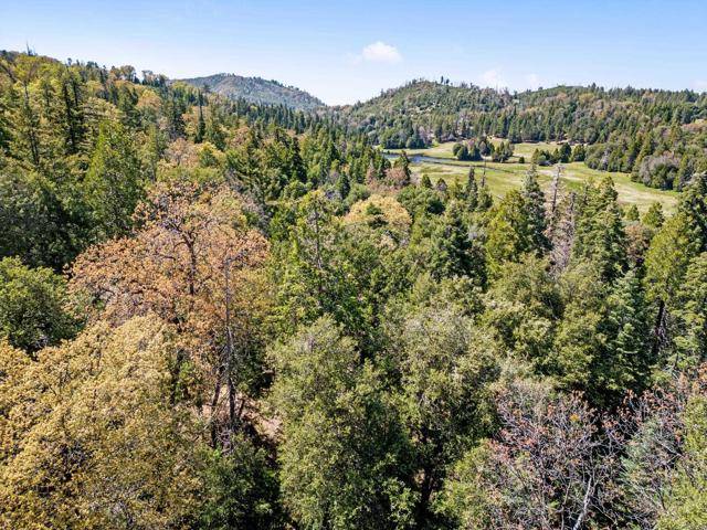 Palomar Mountain, CA 92060,14 Palomar Divide Truck