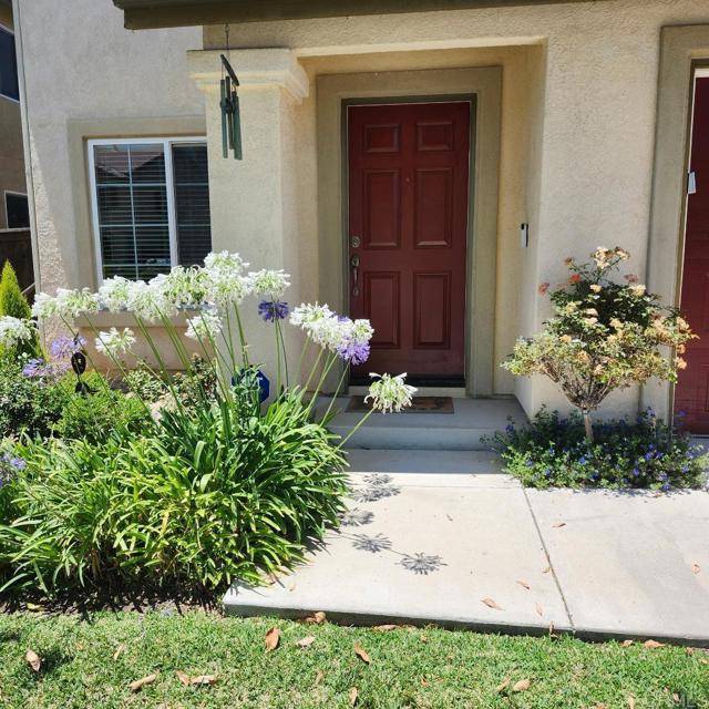 San Marcos, CA 92069,874 Via La Venta