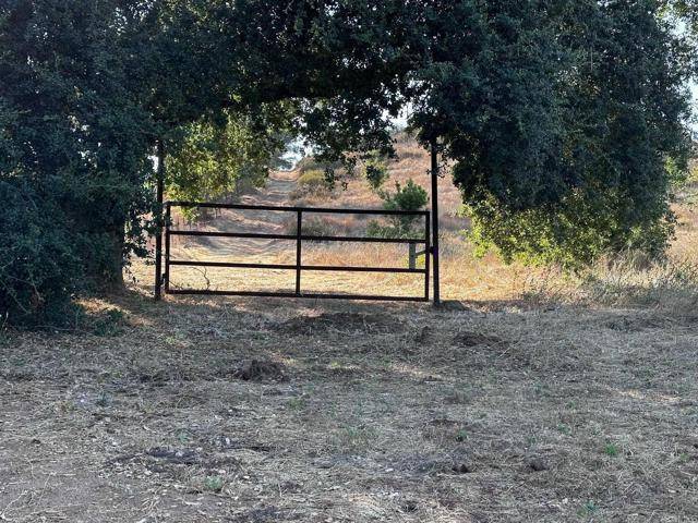 Fallbrook, CA 92028,0 Tierra Nuevo