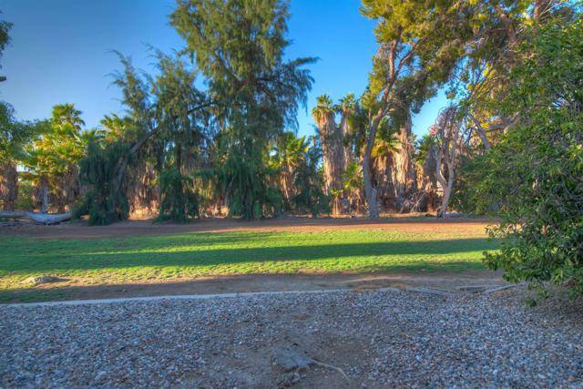 Borrego Springs, CA 92004,1010 Palm Canyon #340