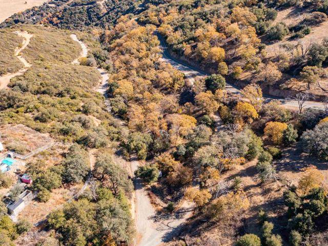 Santa Ysabel, CA 92070,8 Bobcat