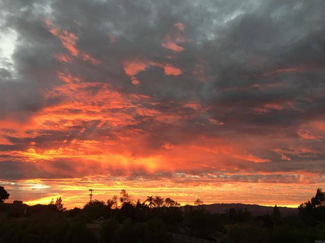 Fallbrook, CA 92028,246 Yucca