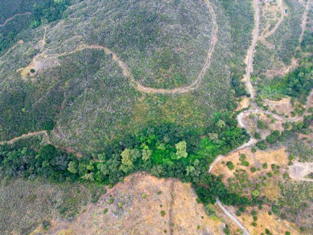 Fallbrook, CA 92028,10355 Alex