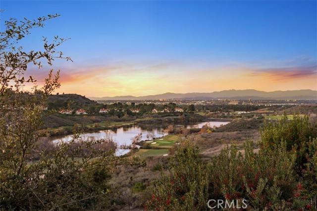 Irvine, CA 92603,29 Prairie Grass