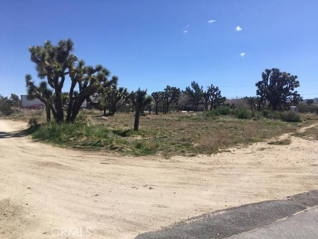 Yucca Valley, CA 92284,7199 Grand