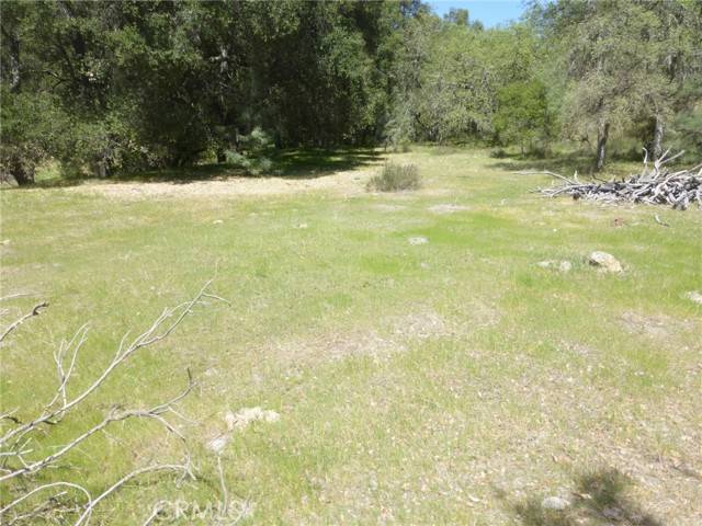 San Miguel, CA 93451,0 Vineyard Canyon (parcel 29)