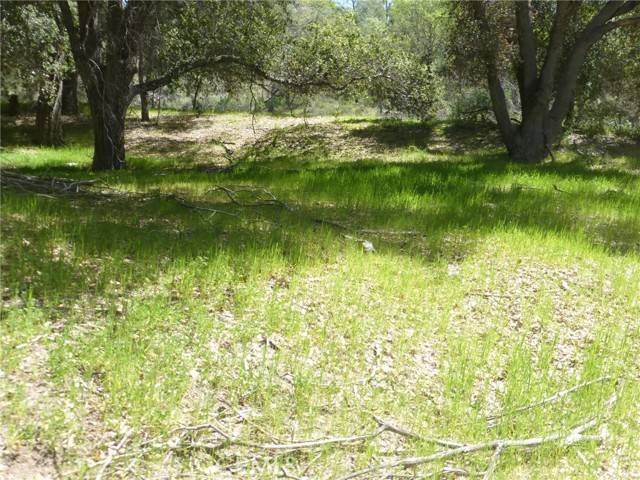 San Miguel, CA 93451,0 Vineyard Canyon (parcel 29)