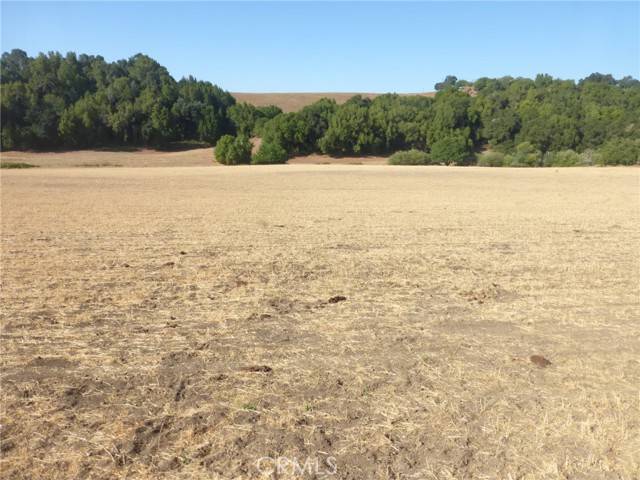 Paso Robles, CA 93446,0 Vineyard